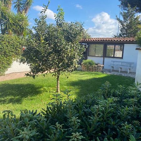Casa Di Paola Mare Ardeaアパートメント エクステリア 写真
